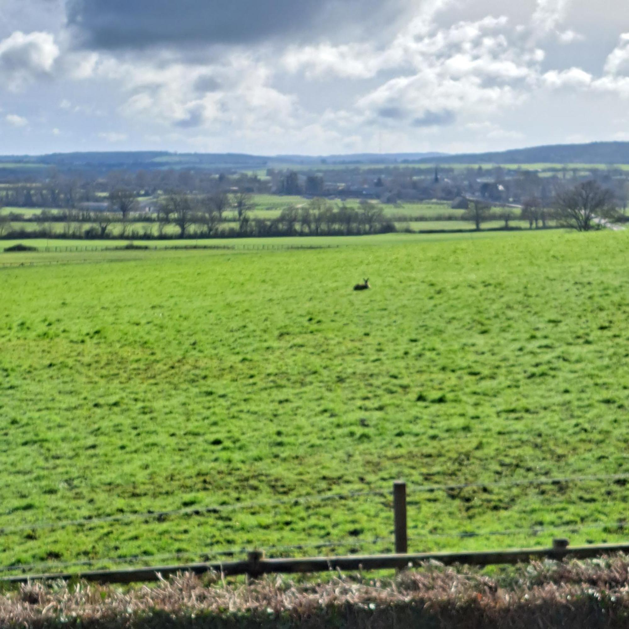 Maison De Charme En Campagne, 5 Min Du Haras Du Pin Nonant-le-Pin Exteriér fotografie