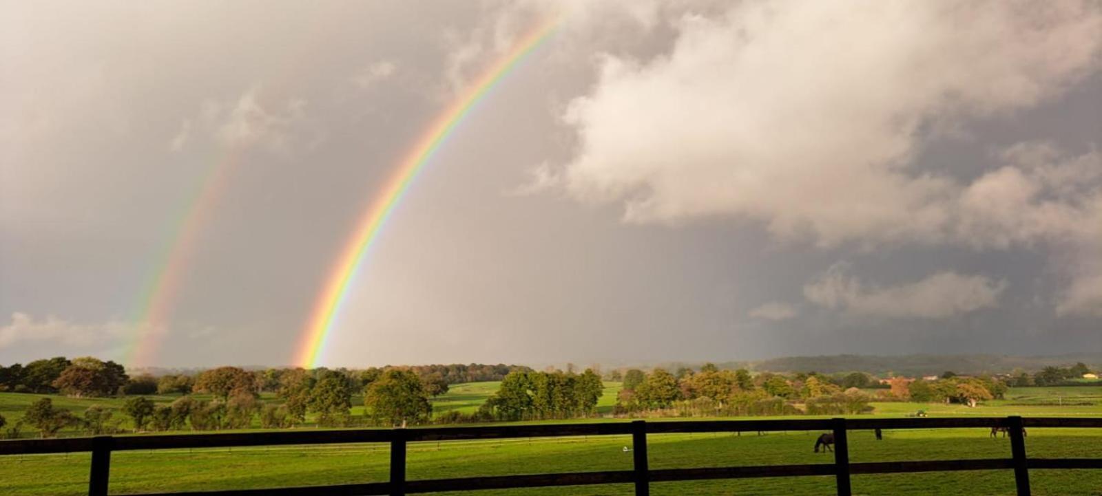 Maison De Charme En Campagne, 5 Min Du Haras Du Pin Nonant-le-Pin Exteriér fotografie